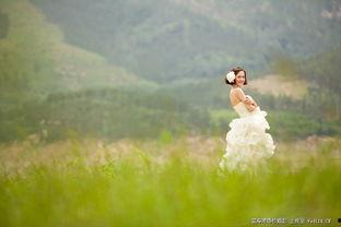 青青青草国产,探寻青青青草国的绿色奇迹  第2张