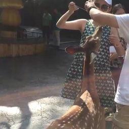 j zz国产,探寻j zz国的历史足迹与文化魅力  第3张